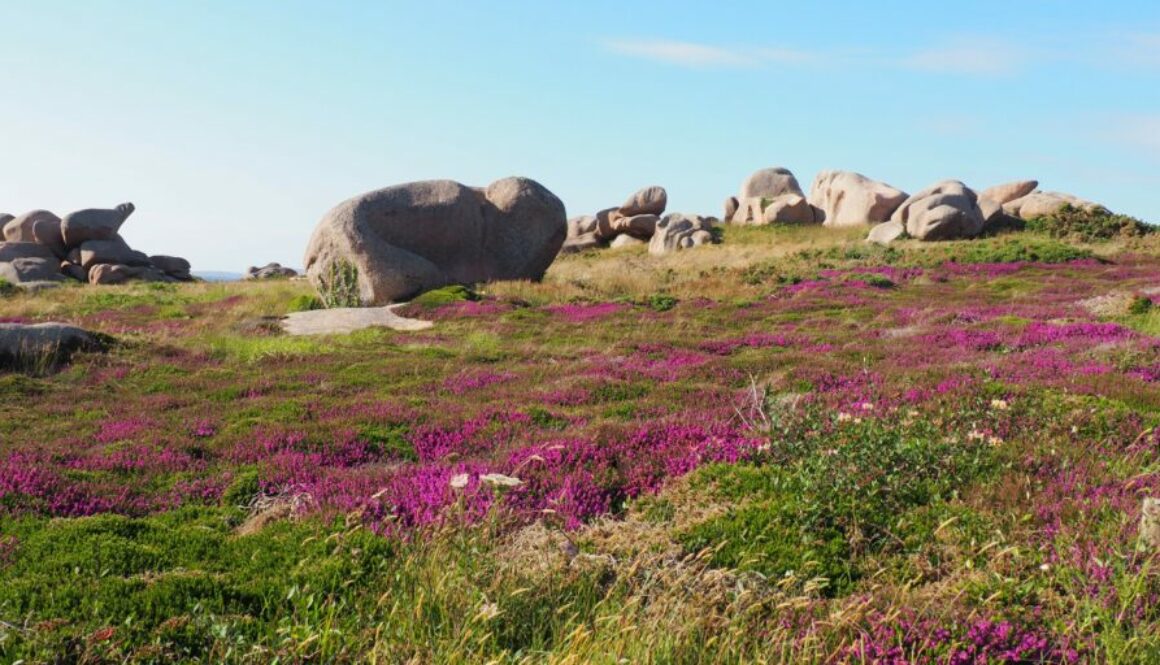 France - Côte de granit rose
