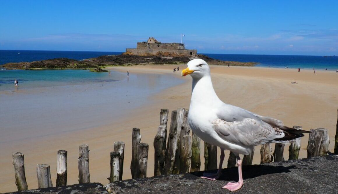 France - Saint-Malo