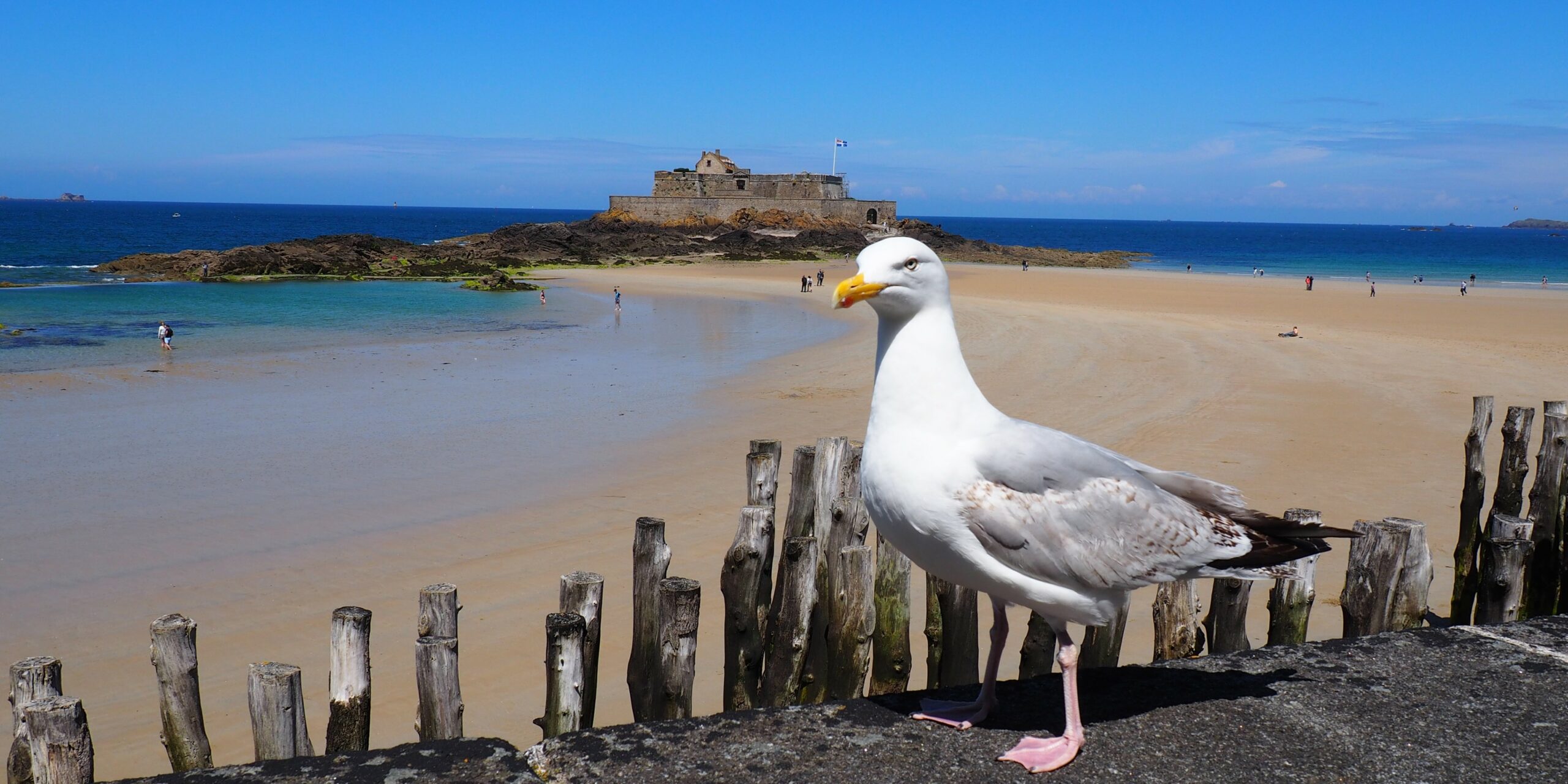 France - Saint-Malo