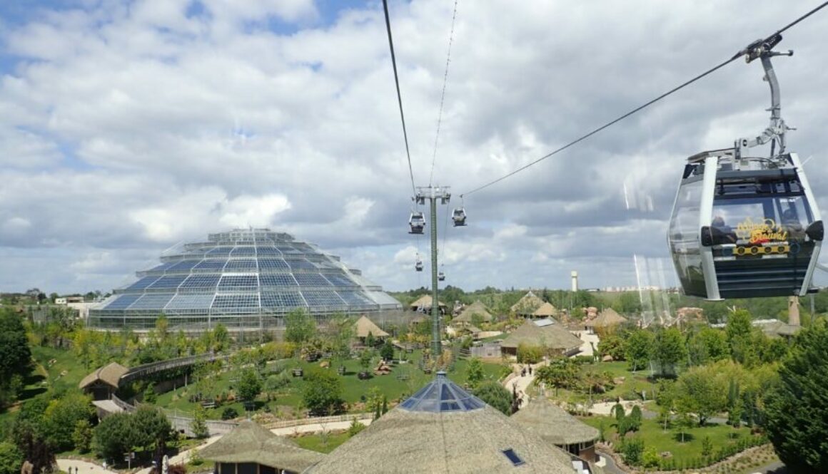 France - Zoo de Beauval