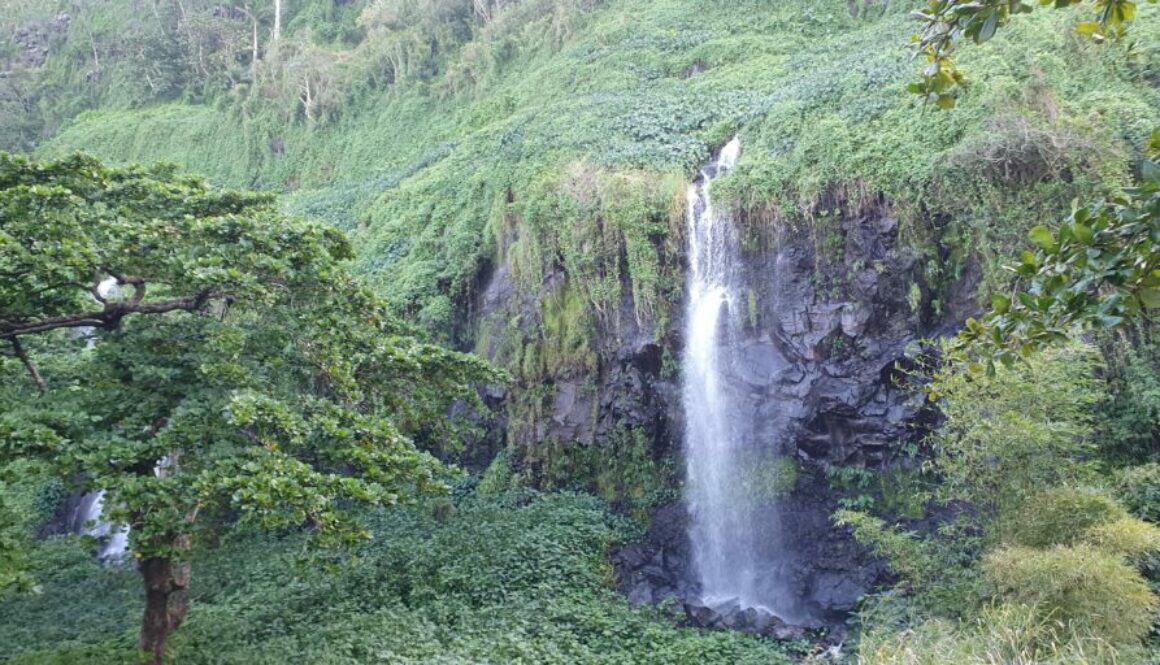 La Réunion - Anse des Cascades
