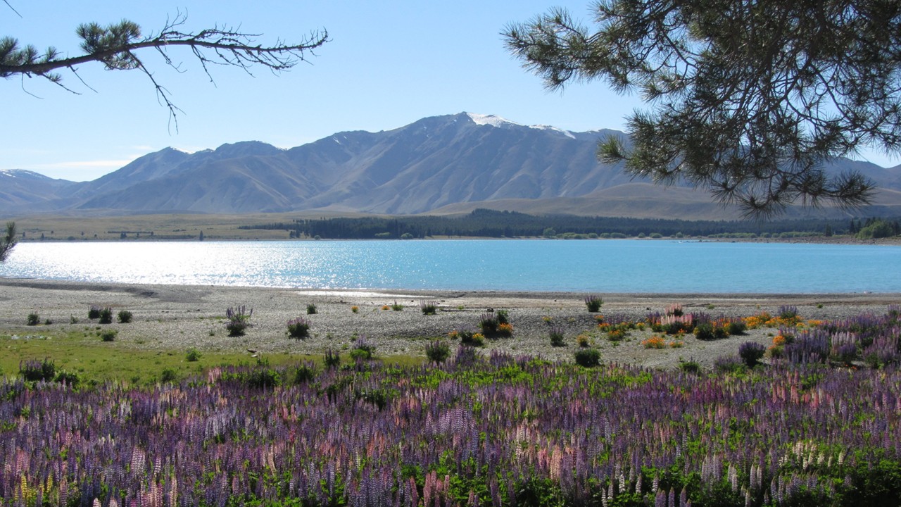 Lake Tekapo - Nouvelle-Zélande