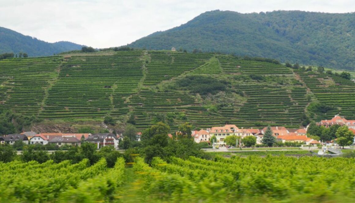 La vallée de la Wachau en Autriche : abbaye baroque de Melk, charmant village de Dürnstein, vignobles UNESCO et croisières sur le Danube.