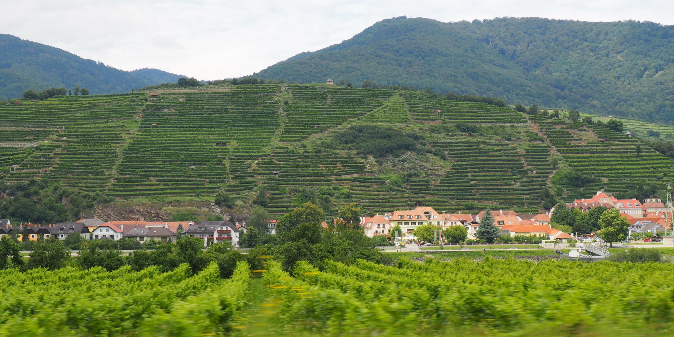Wachau