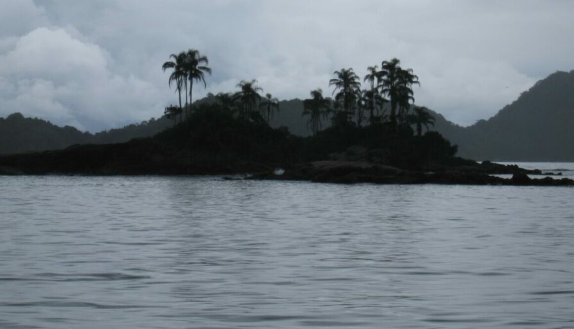 Ilha Grande au Brésil : plages paradisiaques, randonnée en forêt tropicale, plongée et nature préservée dans une île sans voitures