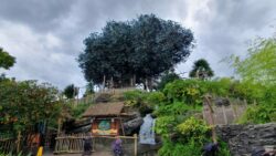 La Cabane des Robinson