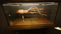 Les Mystères du Nautilus