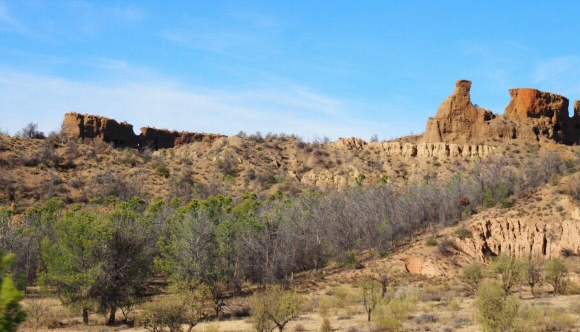 Sierra Nevada en Espagne : ski en hiver, randonnées estivales, sommets majestueux, villages des Alpujarras et nature préservée.