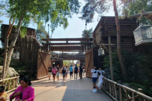Frontierland (8)_woorld