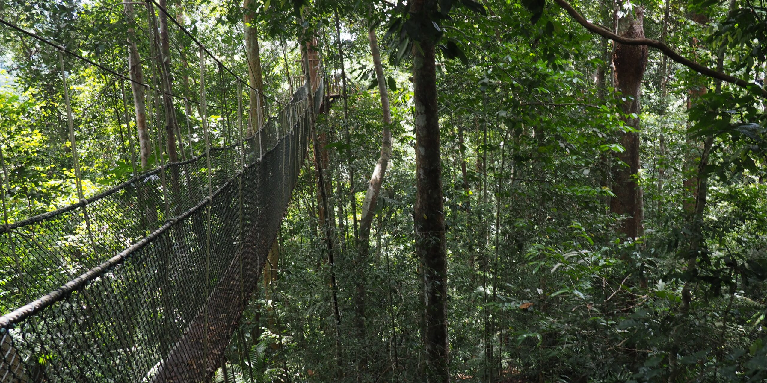 Taman Negara