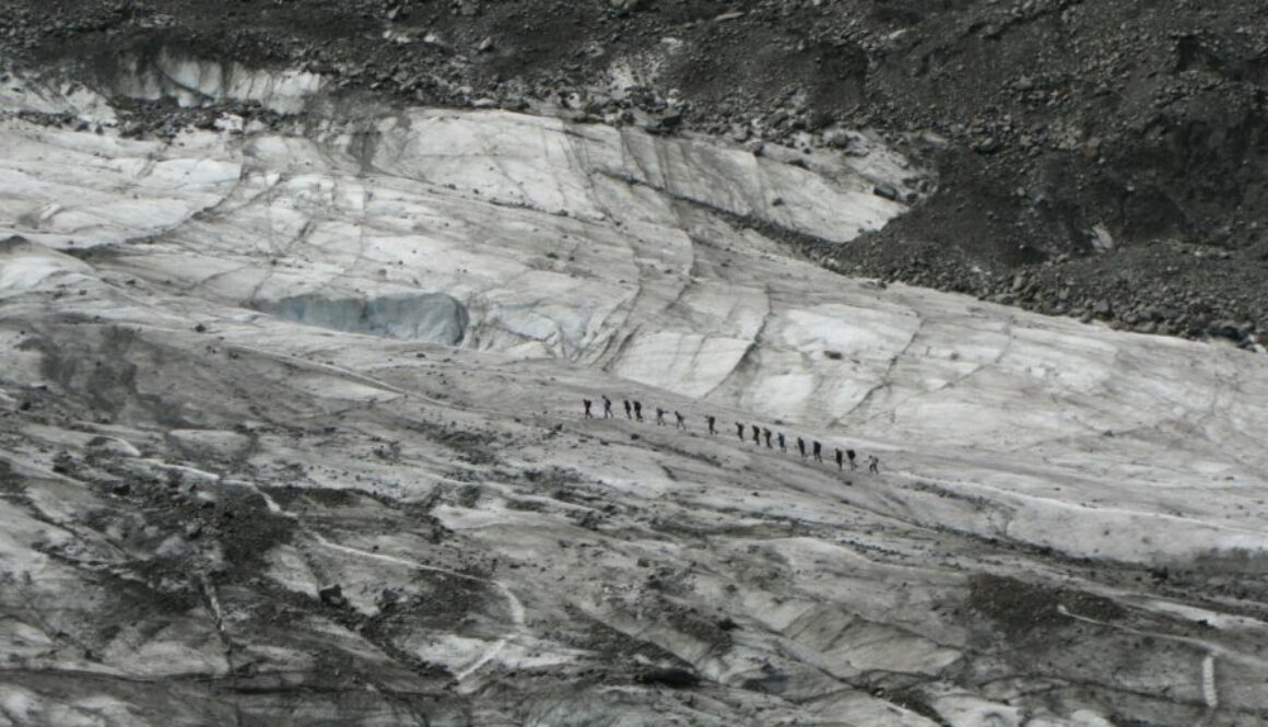 Fox Glacier Nouvelle-Zélande