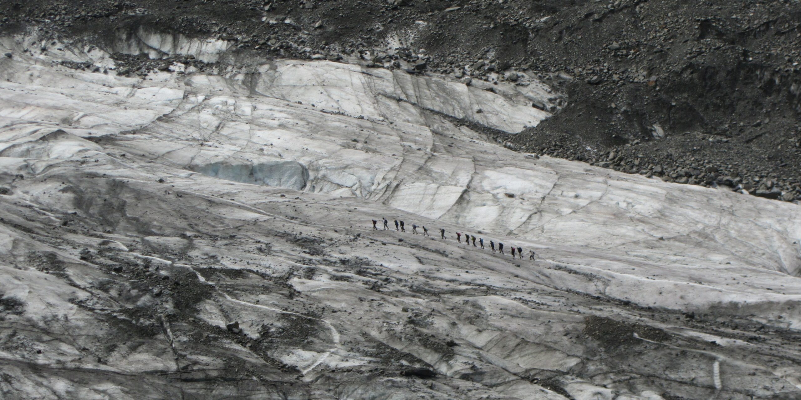Fox Glacier Nouvelle-Zélande