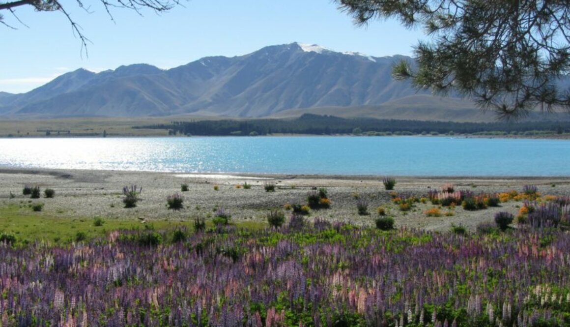 Lake Tekapo Nouvelle-Zélande