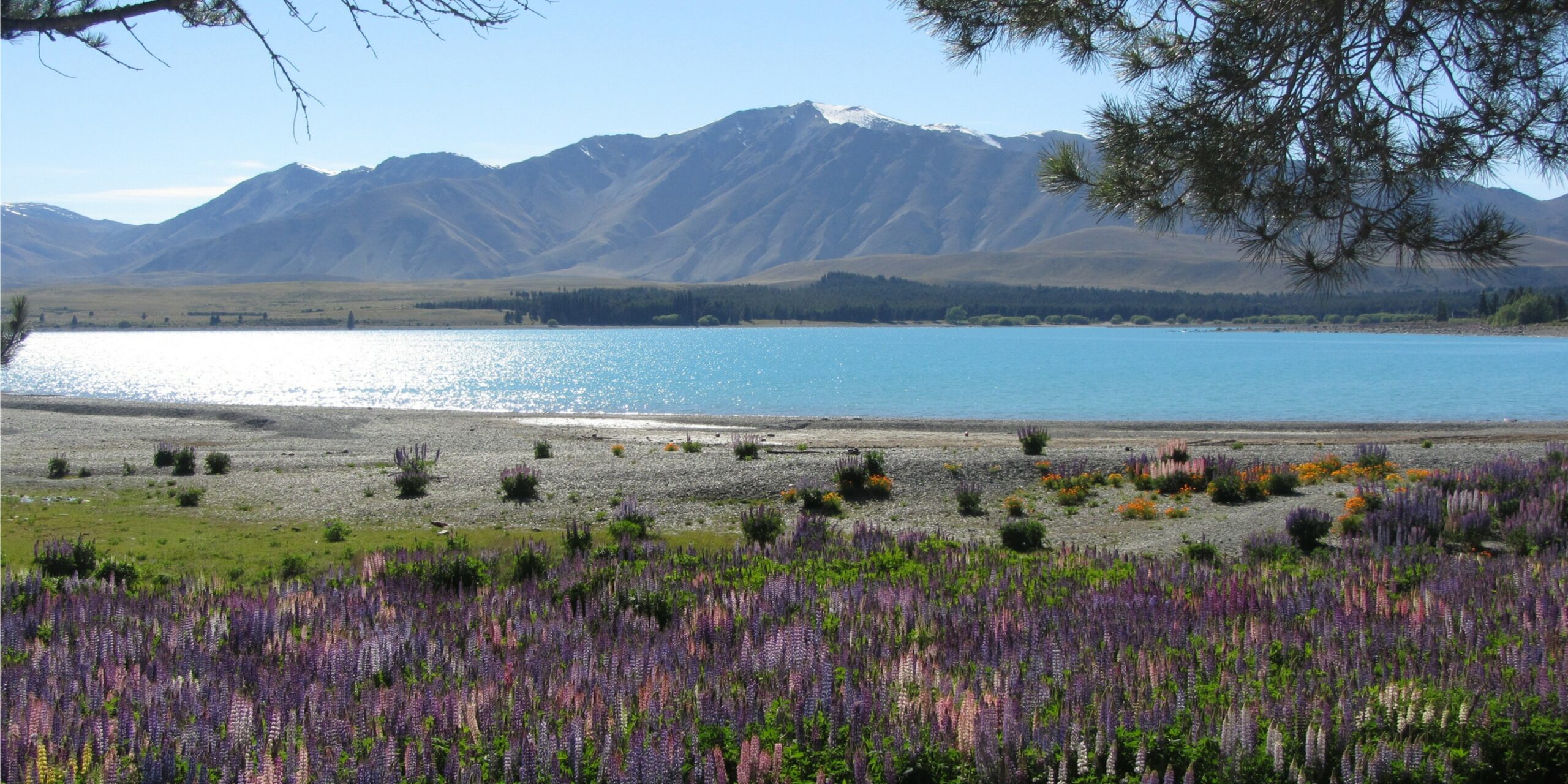 Lake Tekapo Nouvelle-Zélande
