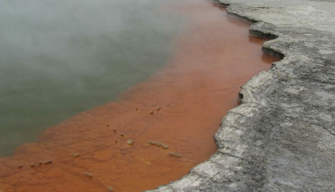 Rotorua : geysers, culture maorie et nature préservée.