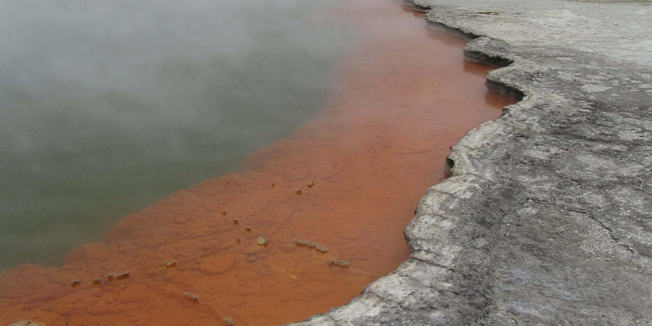 Rotorua : geysers, culture maorie et nature préservée.
