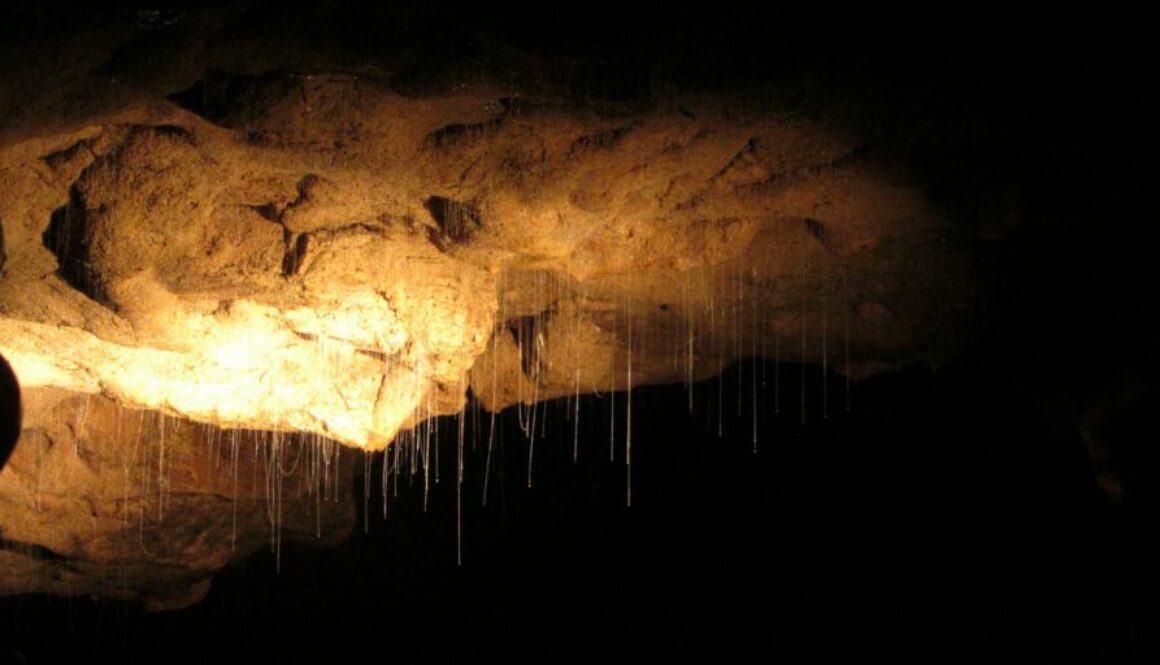 Waitomo Caves : grottes magiques aux vers luisants.