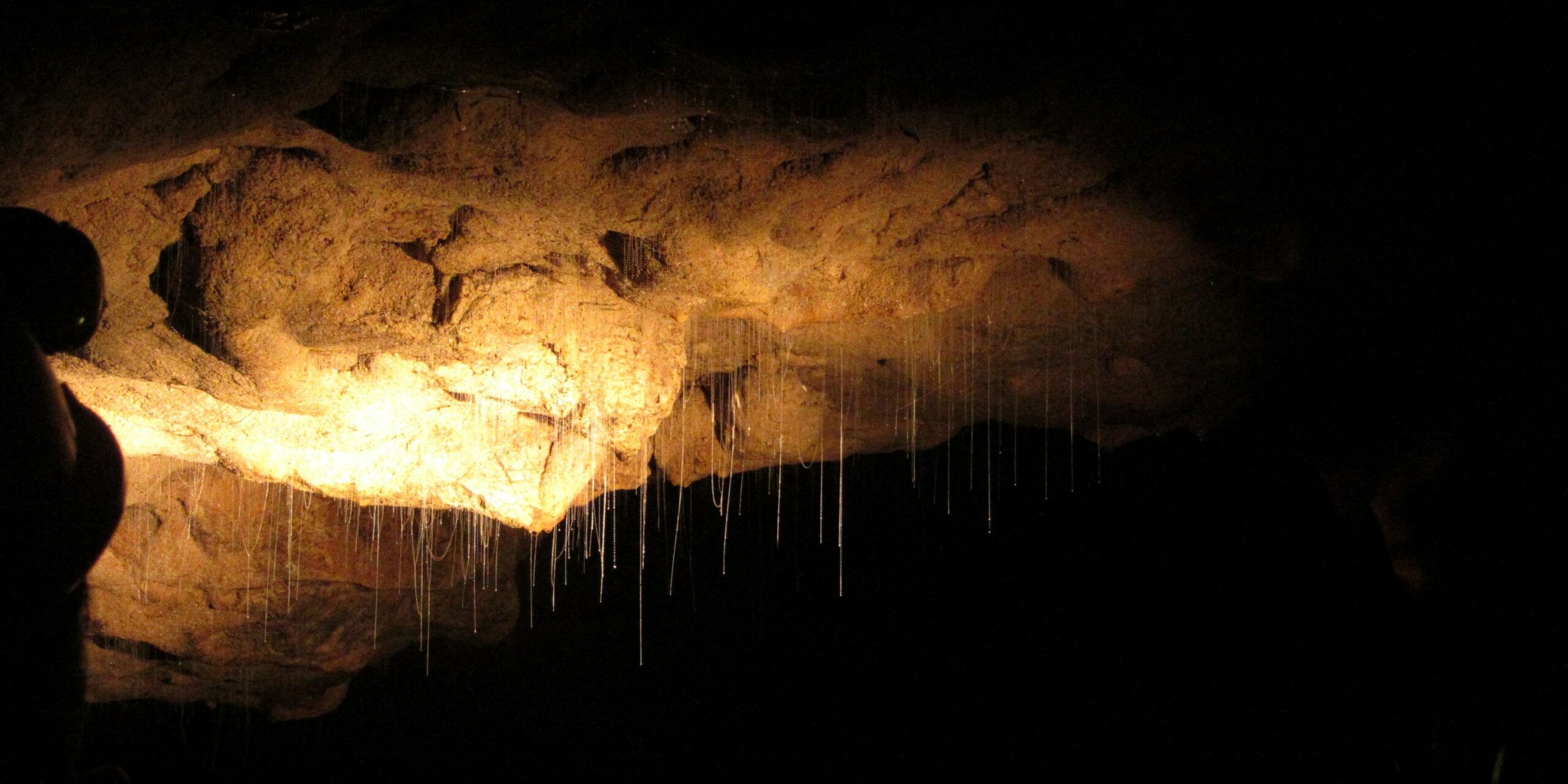 Waitomo Caves : grottes magiques aux vers luisants.