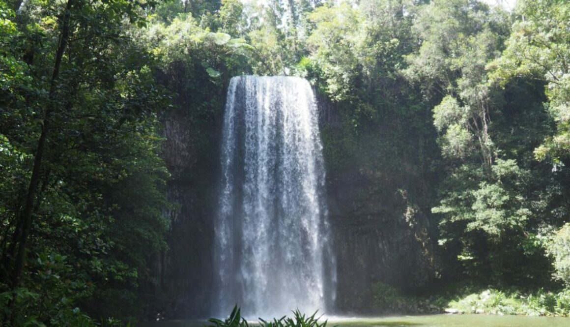 Atherton Tablelands : cascades spectaculaires, lacs volcaniques, forêts tropicales et faune unique au cœur du Queensland.
