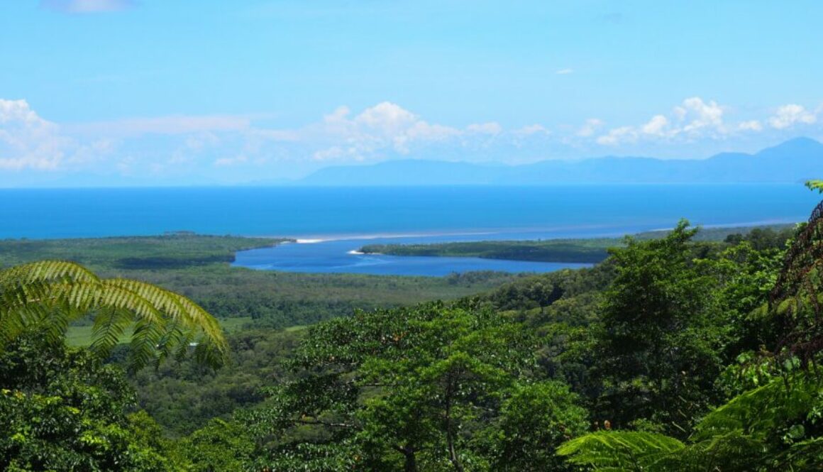 Daintree Forest : plus vieille forêt tropicale du monde, faune rare, crocodiles, casoars et rencontre entre jungle et récif corallien.
