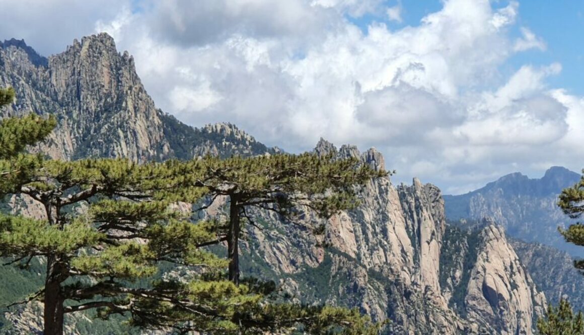 Les Aiguilles de Bavella, joyau sauvage de la Corse, offrent panoramas grandioses, randonnées mythiques et nature préservée au cœur de l’île.
