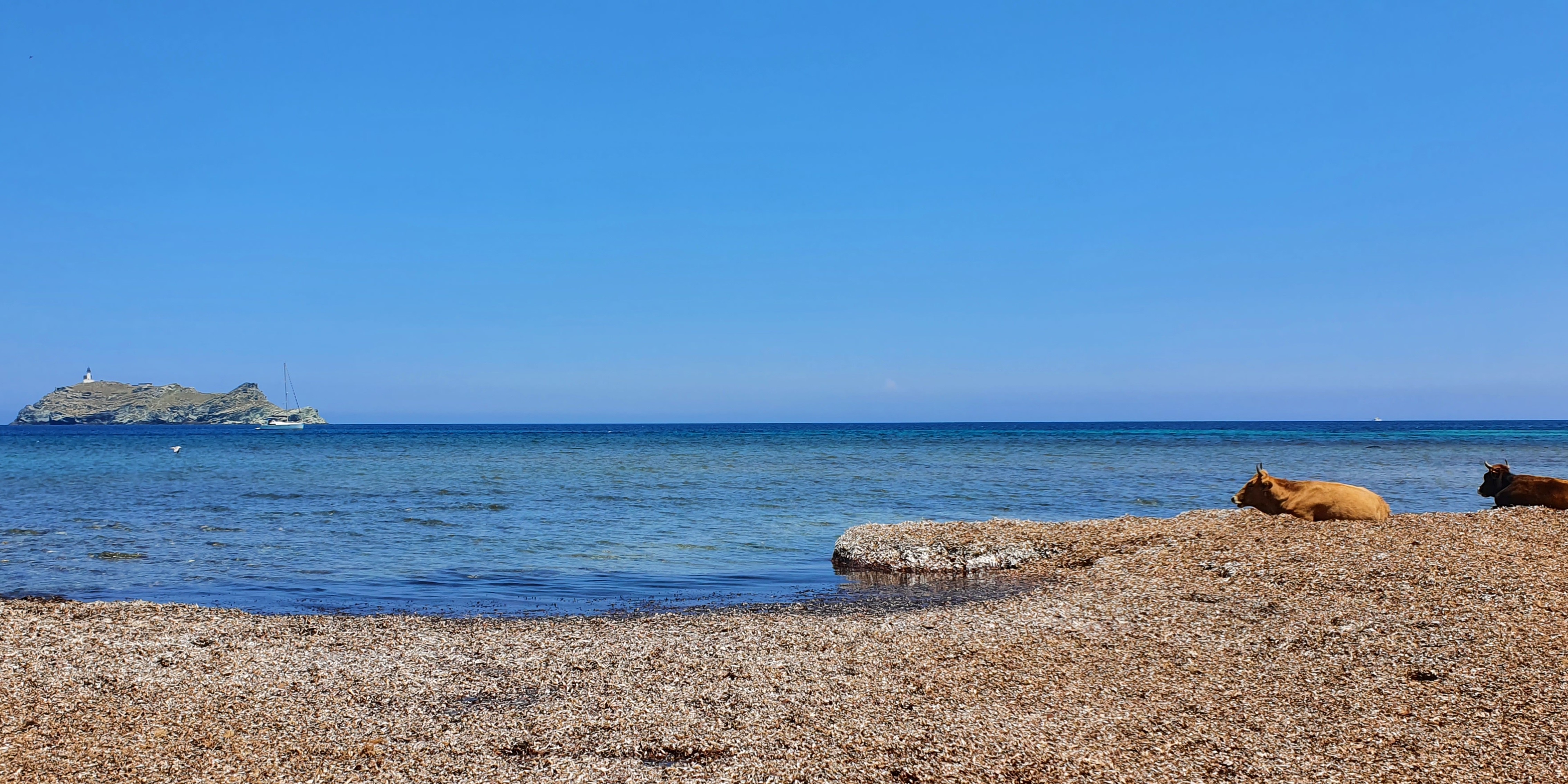 Cap Corse