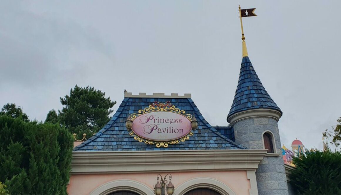 Entrez au Princess Pavilion de Fantasyland : rencontrez une Princesse Disney dans un décor royal, vivez une interaction personnalisée et repartez avec une photo magique.
