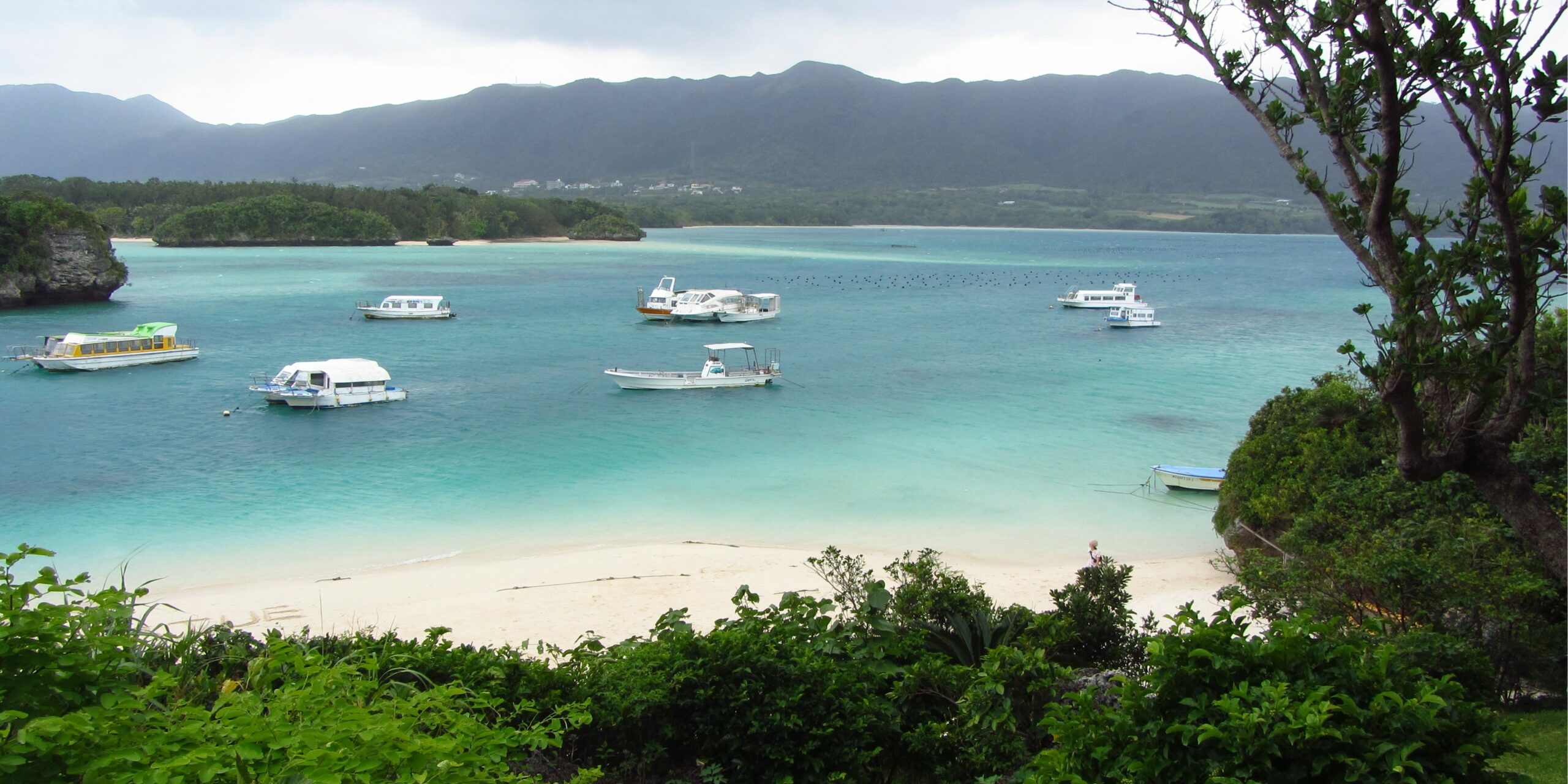 Ishigaki