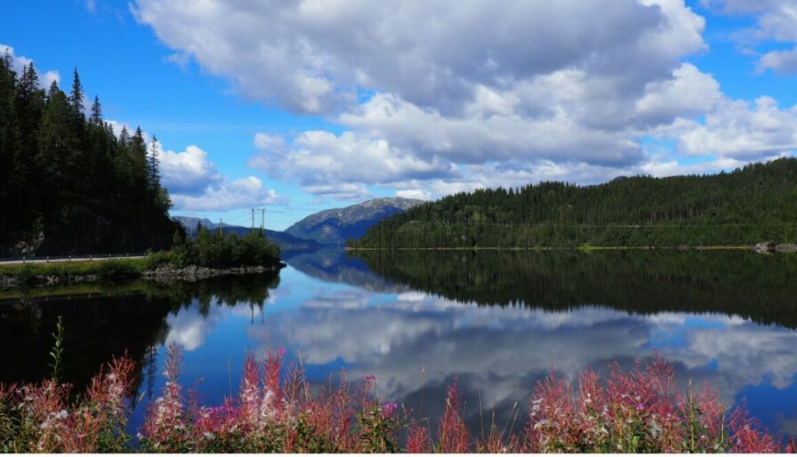 Rogaland, région de Norvège entre fjords, falaises, plages et villes côtières. Découvrez Stavanger, Preikestolen et le splendide Lysefjord.