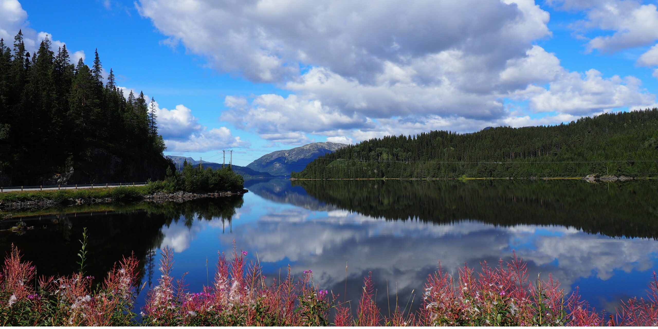 Rogaland, région de Norvège entre fjords, falaises, plages et villes côtières. Découvrez Stavanger, Preikestolen et le splendide Lysefjord.