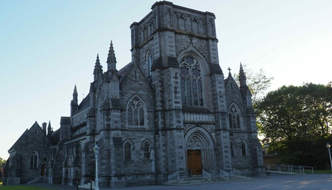 Kilkenny et Wicklow : ville médiévale, montagnes verdoyantes et lacs paisibles pour un beau voyage dans l’est de l’Irlande.