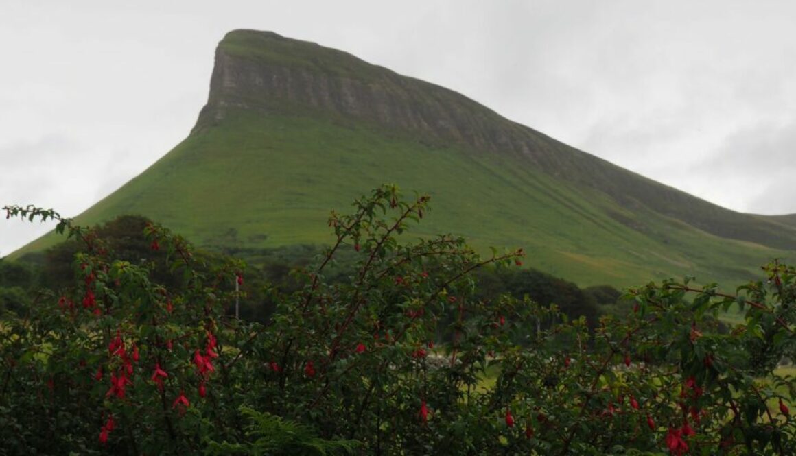 Mayo et Sligo : Achill Island, Benbulben et plages de surf pour un road trip nature sur la côte ouest irlandaise.