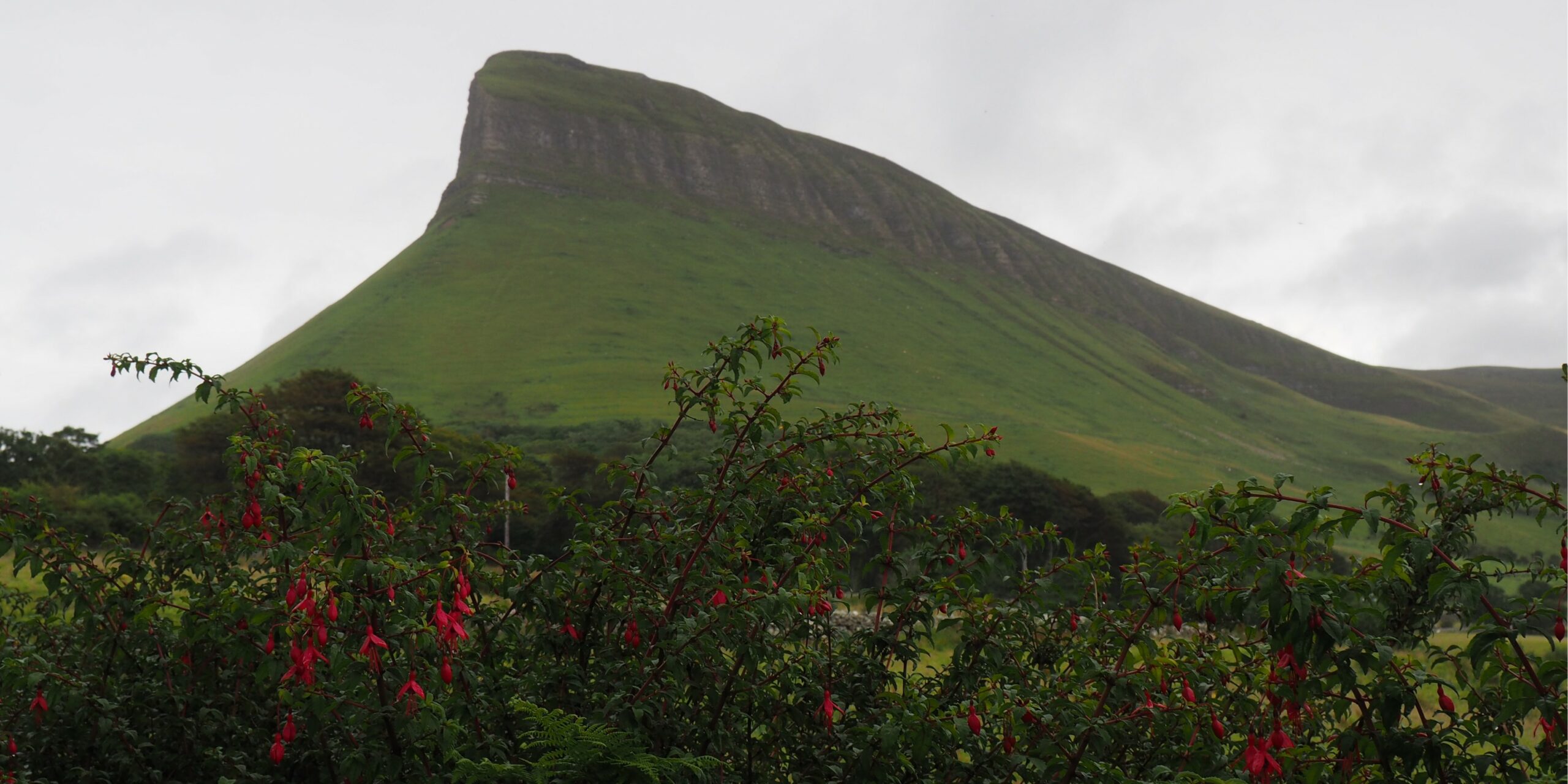 Mayo et Sligo : Achill Island, Benbulben et plages de surf pour un road trip nature sur la côte ouest irlandaise.