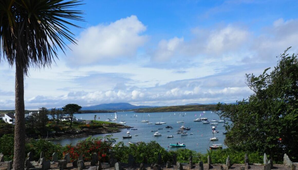 Comté de Cork : ville animée, ports colorés et péninsules sauvages pour un voyage varié dans le sud de l’Irlande.
