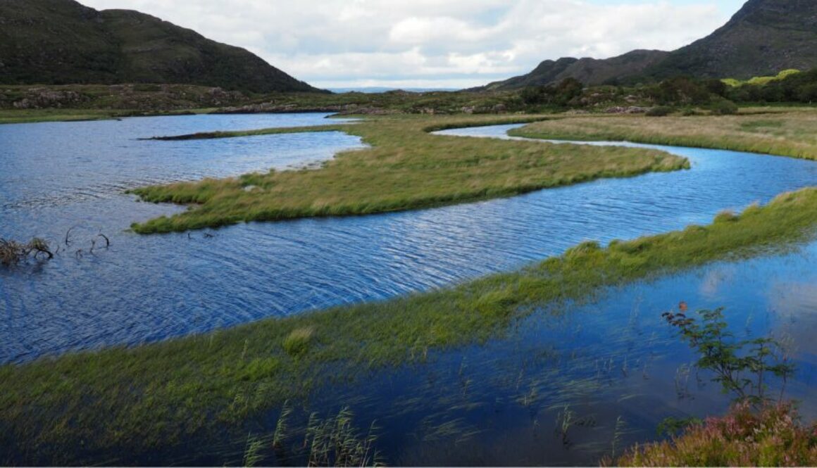 Comté de Kerry : Ring of Kerry, Dingle et lacs de Killarney pour un road trip spectaculaire en Irlande.