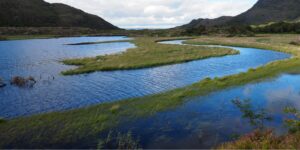 Comté de Kerry : Ring of Kerry, Dingle et lacs de Killarney pour un road trip spectaculaire en Irlande.