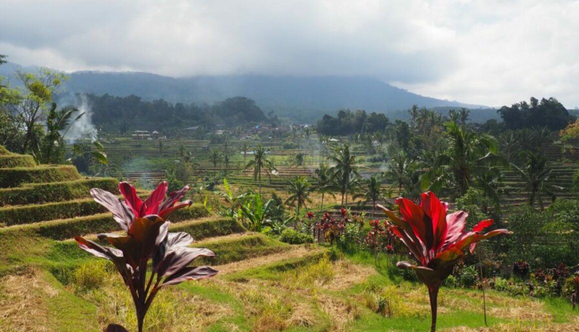 Découvrez Bali : temples hindous, rizières en terrasses, plages volcaniques et ambiance spirituelle unique. Itinéraires et idées de séjour pour préparer votre voyage.