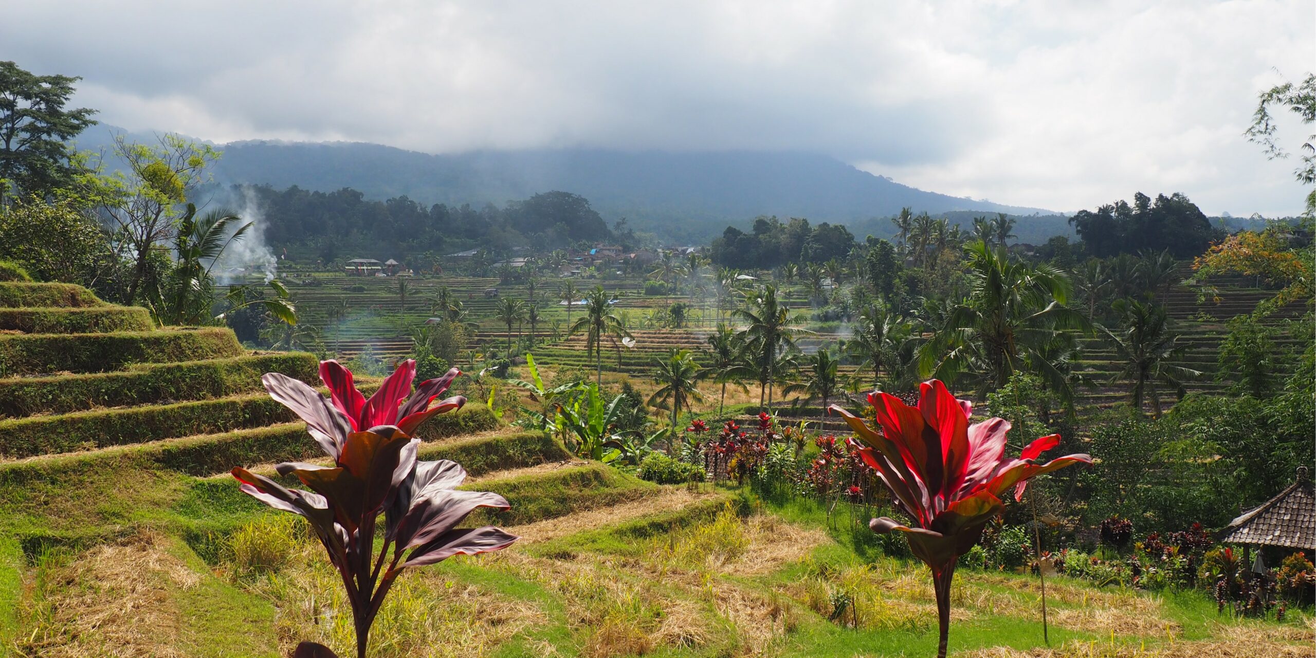 Découvrez Bali : temples hindous, rizières en terrasses, plages volcaniques et ambiance spirituelle unique. Itinéraires et idées de séjour pour préparer votre voyage.
