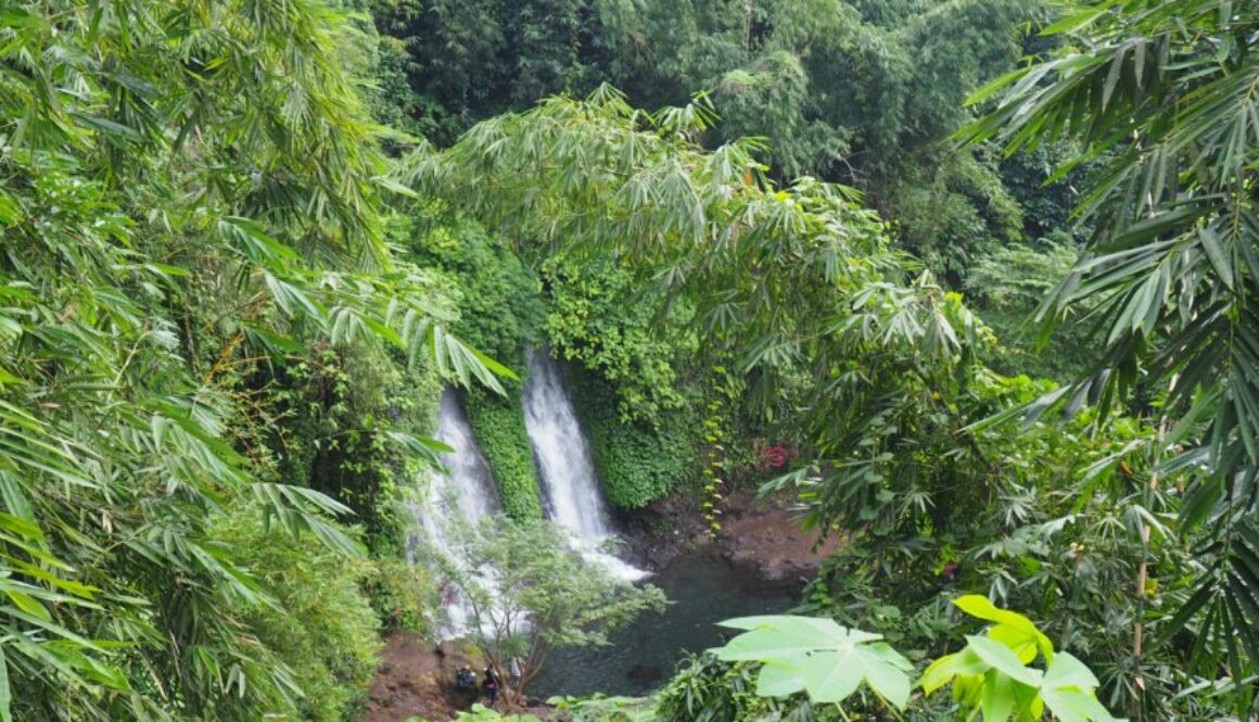 Malang Java Est base Bromo : ville fraîche entourée de montagnes, parfaite pour organiser volcans et cascades alentour.