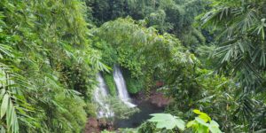 Malang Java Est base Bromo : ville fraîche entourée de montagnes, parfaite pour organiser volcans et cascades alentour.