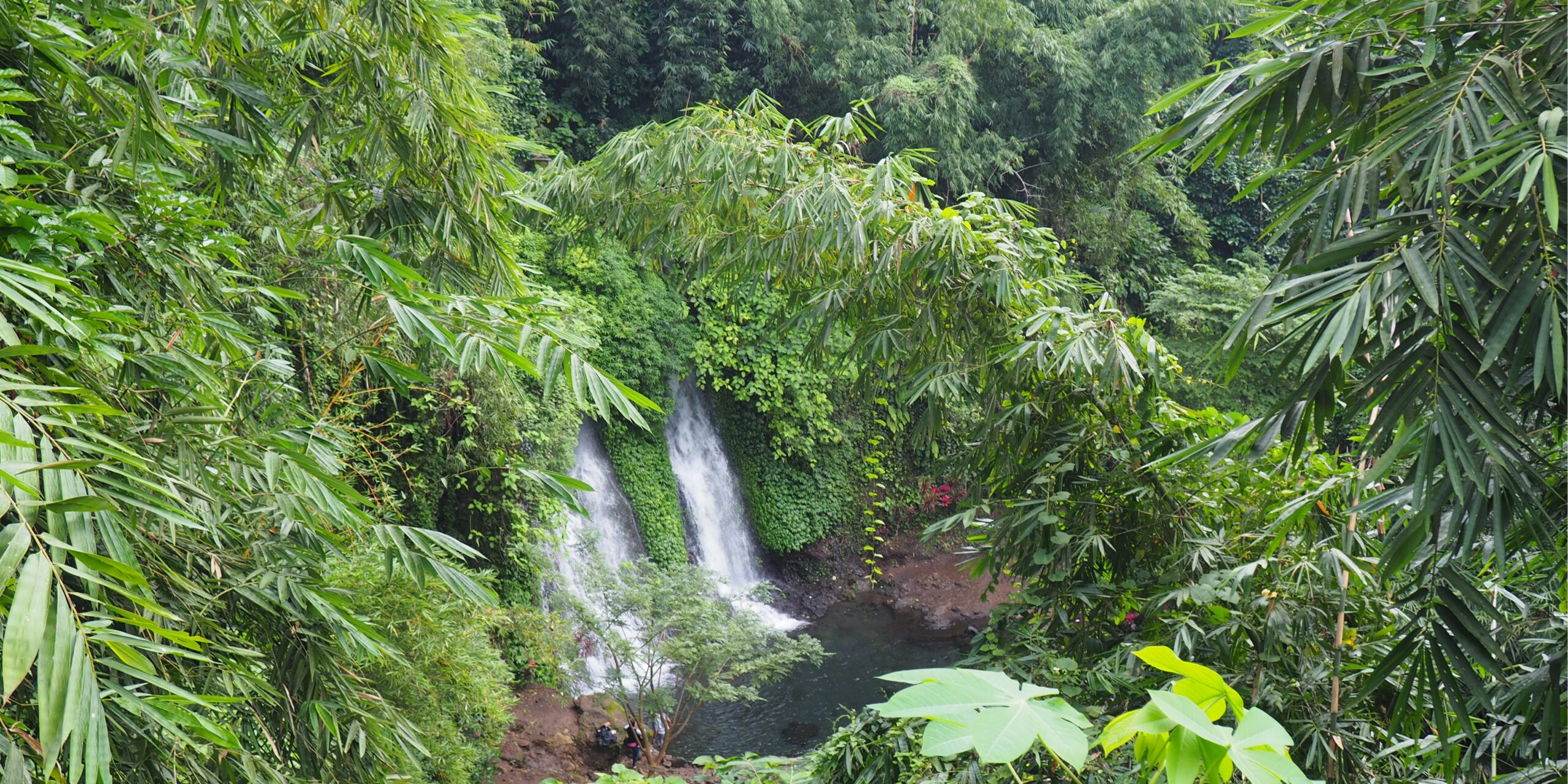 Malang Java Est base Bromo : ville fraîche entourée de montagnes, parfaite pour organiser volcans et cascades alentour.