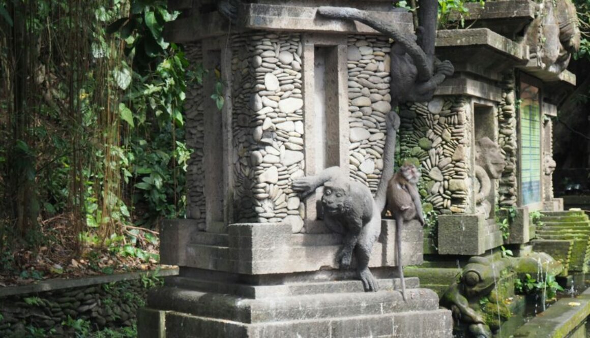 Voyage Ubud Bali : rizières en terrasses, temples, forêt des singes et atmosphère bohème au cœur de l’île.