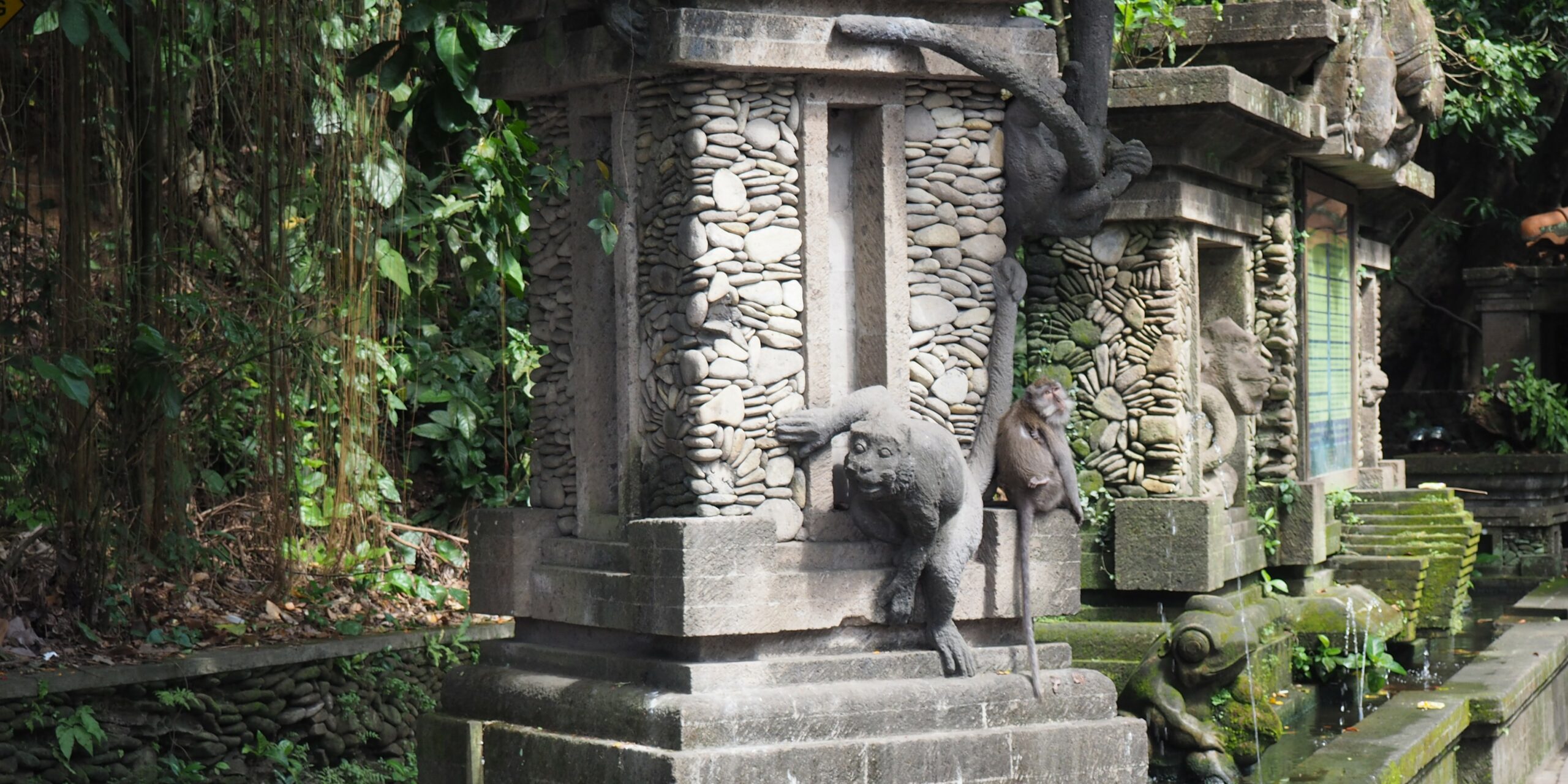 Voyage Ubud Bali : rizières en terrasses, temples, forêt des singes et atmosphère bohème au cœur de l’île.