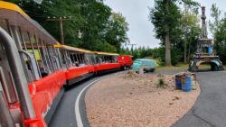 Cars Road Trip